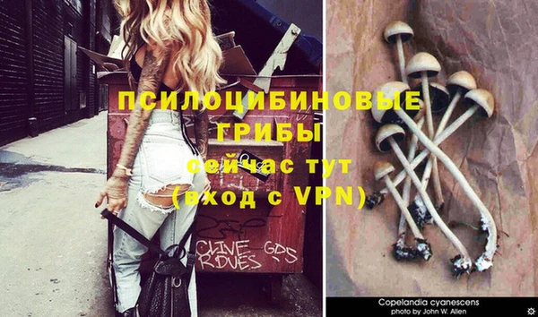 синтетический гашиш Новокубанск