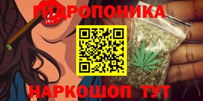 дурь Гусев