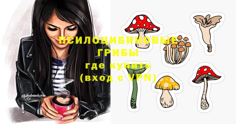 Галлюциногенные грибы Magic Shrooms  hydra онион  Ярославль  магазин продажи  