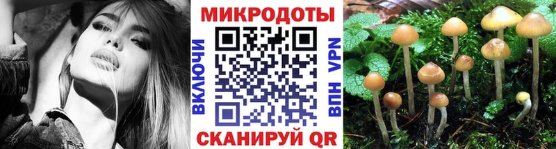 Псилоцибиновые грибы ЛСД  Ярославль 