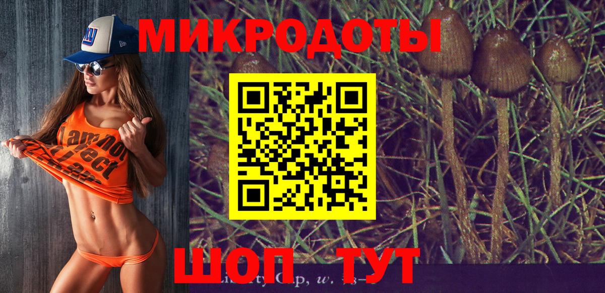Галлюциногенные грибы мухоморы  закладка  Ярославль  Вход с VPN 