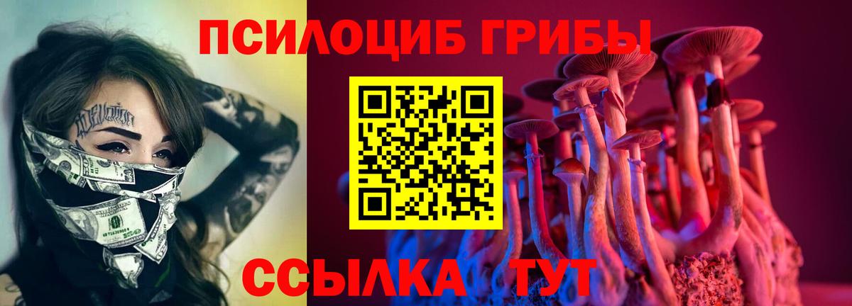 Псилоцибиновые грибы GOLDEN TEACHER Ярославль