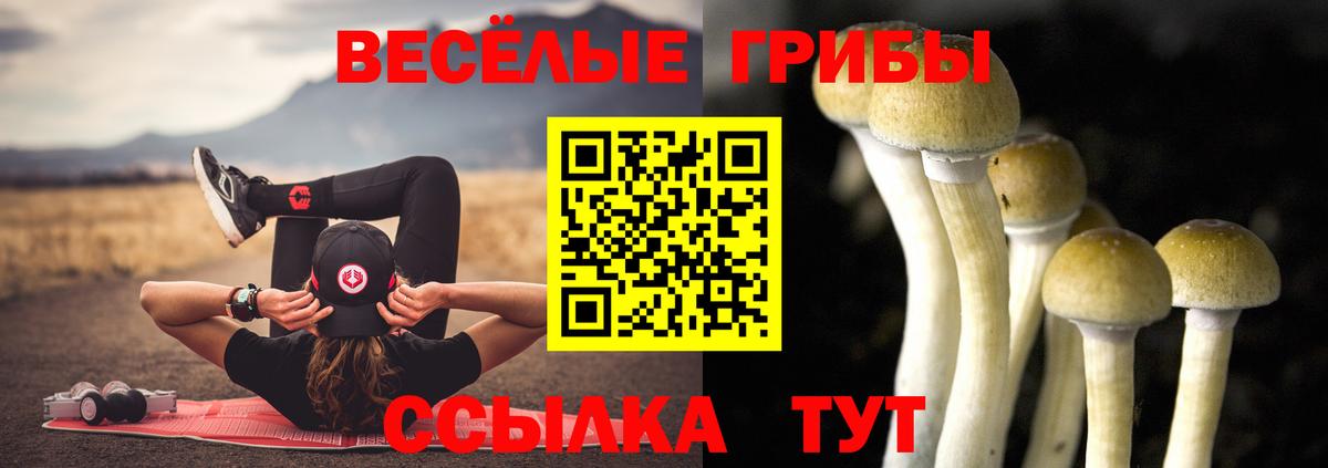 Галлюциногенные грибы Psilocybine cubensis Ярославль