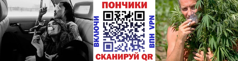 где можно купить наркотик  Ярославль  блэк спрут ССЫЛКА  Бошки марихуана марихуана 